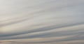Background of spindrift clouds on evening sky