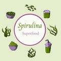 Background of spirulina algae in hand drawn sketch