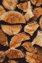 Background from split logs. Woodpile. Vertical image. Back for design, space for text. Copy space Royalty Free Stock Photo