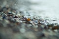 Background from the spray of sea stones with orange carnelian in the center