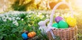 Background of the spring field with rabbit toy and basket with colourful eggs on it.