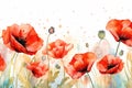 Flowers illustration floral summer watercolor nature spring background poppy red art background Royalty Free Stock Photo