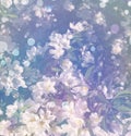 Background from spring white florets on branches Royalty Free Stock Photo