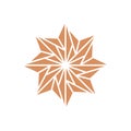 Mandala Ornament Star, Logo Design Inspiration