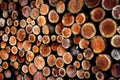 Background of a stack of cut wood logs, firewood Royalty Free Stock Photo