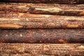 Background of stack wood log. Wood log backdrop. Wooden stump background. Firewood timber logging. Lumber stacked firewood Royalty Free Stock Photo