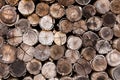 Background of stacked timber logs Royalty Free Stock Photo