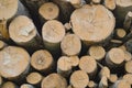 Background with stacked wooden logs of different diameters Royalty Free Stock Photo