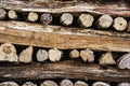Background of stacked wooden logs, year rings Royalty Free Stock Photo
