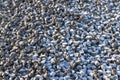 Background of stone chippings with snow during the winter Royalty Free Stock Photo