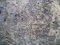 Background of stone chips. Pattern of light gray stone.