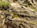 Background of stone rocks. Stones are covered with moss and various herbaceous plants. Rough stone texture of mountains Royalty Free Stock Photo
