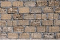 Background. Stone wall texture. The shell rock material is bonded with cement mortar Royalty Free Stock Photo