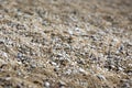 Background of stones on the shore. Close up in the blurry sunset light in the distance