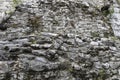 The background with stones. Stone wall background. Old wall with natural stones and a green plants which is growing up on it Royalty Free Stock Photo