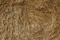 Background straw, dry straw, straw background texture, abstract natural for design Royalty Free Stock Photo