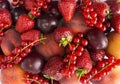 Background of strawberries, peaches, red currants and plums. Fresh berries closeup. Top view. Background of red berries. Various f