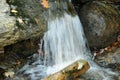 Background of streaming waterfall. Royalty Free Stock Photo