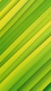 Background from Striped shapes and lime