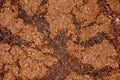 Background, structure of chocolate oatmeal cookies close-up, uniform texture Royalty Free Stock Photo