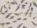 Background in the style of Provence. Delicate blue cornflowers and white wood Royalty Free Stock Photo