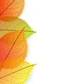 Background with stylize autumn leaves Royalty Free Stock Photo