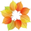 Background with stylize autumn leaves Royalty Free Stock Photo