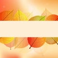 Background with stylize autumn leaves Royalty Free Stock Photo