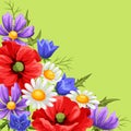 Background with summer flowers.