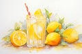 Background summer juicy slice glass fresh food fruit drink lemon juice healthy Royalty Free Stock Photo