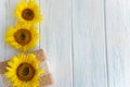 Background with sunflower flowers on a white wooden background with a gift box. Design for a greeting card with flowers Royalty Free Stock Photo