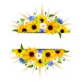 Background with sunflowers, daisies, cornflowers and ears of wheat. Vector eps-10. Royalty Free Stock Photo