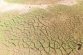 The background of the surface is cracked in dry soil in the summer Royalty Free Stock Photo