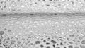 Background of the surface of a reflective polymer material