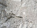 Background, surface texture. a layer of white peeling paint on rough gray concrete, cement, plastered wall. Royalty Free Stock Photo