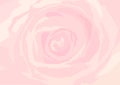 Background pink rose close-up Royalty Free Stock Photo