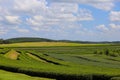 Background tea plantations, mountains and beautiful skies Royalty Free Stock Photo