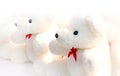 Background Teddy Bear white soft blur Selective focus Royalty Free Stock Photo