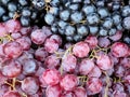 Background teksture pattern a combination of two colors between black grapes and red grapes Royalty Free Stock Photo