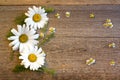 Craft paper on a wooden background with large and small daisies Royalty Free Stock Photo