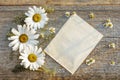 Craft paper on a wooden background with large and small daisies Royalty Free Stock Photo