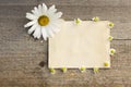 Craft paper on a wooden background with large and small daisies Royalty Free Stock Photo