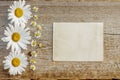 Craft paper on a wooden background with large and small daisies Royalty Free Stock Photo