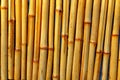 Background texture bamboo vertical arrangement of trunks pattern Royalty Free Stock Photo