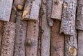 Background texture bark with coniferous species material for construction roof fence eco building natural Royalty Free Stock Photo