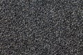 Background texture of black seed, nigella, kalonji