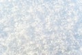 Background, texture - surface of freshly fallen snow Royalty Free Stock Photo