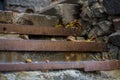 Background or texture of broken old, concrete steps on street with metal crossbars and fallen autumn, yellow leaves. Stone wall. Royalty Free Stock Photo