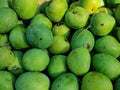 Background texture a bunch of green mango Royalty Free Stock Photo