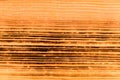 Burned brown pine wood Royalty Free Stock Photo